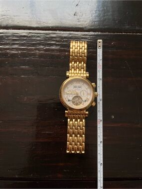 Daniel Steiger 18kt GP Evolution Watch 18kt Gold Plated Model # DS1960